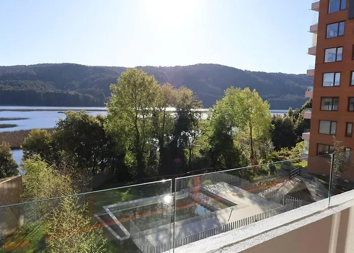 Departamento Valdivia